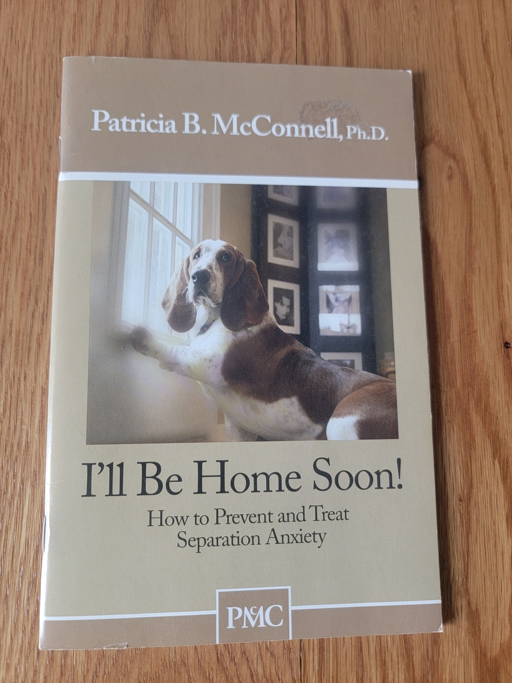Patricia B. McConnell I'll Be Home Soon! Paperback